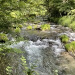 Maruyama Coffee Harunireterasuten