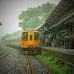 九份阿妹茶酒館 - 