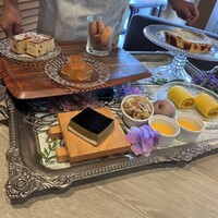 スミレオオサカ - 