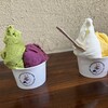 FUJI SHIROKUMA GELATO