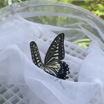 焼きもの家 慶 - 