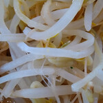 頂キ家 - もやし