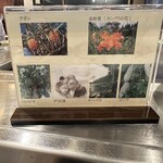 鉄板焼 於茂登 - 