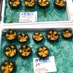 柏商店 - 販売品