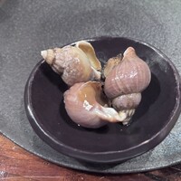 江戸心 山ぼうし - 