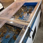 ひらつか倶楽部 - 