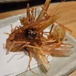 のどぐろ専門 銀座 中俣 - 