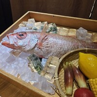 のどぐろ専門 銀座 中俣 - 