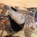 凛 - H26.10 白海老