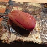 凛 - H26.10 イナダ