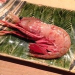 凛 - H26.10 牡丹海老