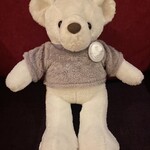 The Gold Teak Room - シロクマ33cm（ホッキョクグマ）なので名前はPOLAR