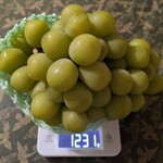 八百屋コウタ - 