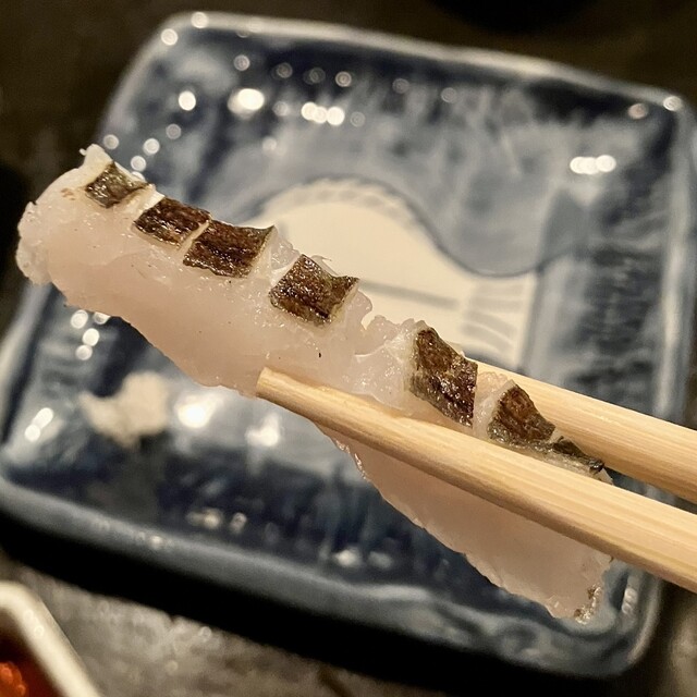 Sakana no Yoridokoro Tetora photo