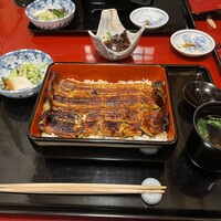 うなぎ割烹 大江戸 - 