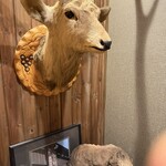 チセのある個室居酒屋 海空のハル - 