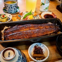京都祇園うなぎ四代目菊川 - 