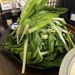 とよのあかり すずの音 - 