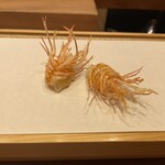 天婦羅 みやしろ - 