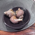 江戸心 山ぼうし - 