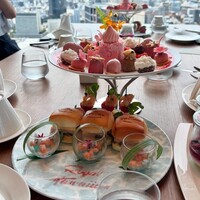 オールデイダイニング オアシスガーデン - 