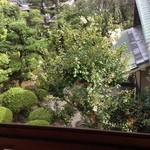 洛陽荘 - 2014年8月：部屋から見えるお庭…手入れが行き届いています
