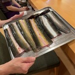 茶つぼ - 黄色いのが天然