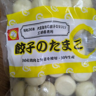 餃子のヨコミゾ_0