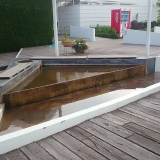 銀杏加工グループ_2