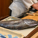 うを徳 - 《下總銚子（てうし）》の"黑鯥（くろむつ）"、八百匁（≒3kg）