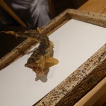 日本橋 蕎ノ字 - 