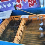 はまなす物産センター - 