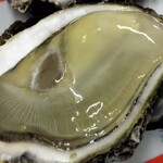 はまなす物産センター - 小砂川産、めちゃくちゃ大振り♬♬♬(๑´ڡ`๑)♬♬♬