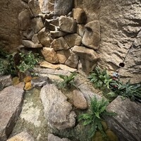 游玄亭 赤坂 - 