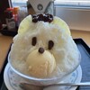 エアポート 山形屋食堂