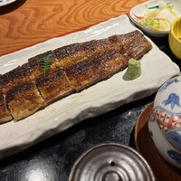 炭焼 うな富士 有楽町店 - うなぎ定食 炭焼 うな富士 有楽町店 - うなぎ定食