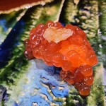 鮨匠 のむら - ㉔筋子(北海道産)
      昨年の筋子を業務用の冷凍庫で-60℃で瞬間冷凍
      元々は接岸する前の沖合い白鮭の筋子をのむらオリジナル醤油で漬けてます
      お客さんからのリクエストが多いため通年出しているそう