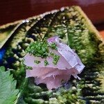 鮨匠 のむら - ⑧白鯵(根付き真鯵)(鹿児島県串木野産、游がせ、朝〆)
      産卵は春～夏、旬は秋～冬
      根付きとは餌が豊富な瀬に付き、回遊しない魚
      条件の良い場所を陣取る強い個体で当然脂のりも良く、脂は軽く爽やかに蕩けます