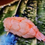 鮨匠 のむら - ⑯波管髭海老【ナミクダヒゲエビ】(鹿児島県錦江湾産、210m)の2枚重ね
      産卵は夏～秋、旬も通年だが特に夏～秋
      ご当地のスペシャルなネタで、甘海老よりも甘く複雑なコクと海老特有の旨みがあります
