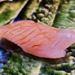 鮨匠 のむら - ⑲歯鰹腹身(鹿児島県開聞岳沖産、1.5kg)
      産卵は夏、旬は秋～冬
      腹身で脂のりが良く、サッパリとしつつも、シャリと合わせても負けない旨みの濃さがありました