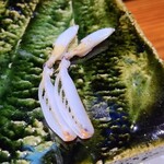 鮨匠 のむら - ㉓クリスタル蝦蛄の爪(鹿児島県出水産)
      こちらのしゃこは砂地に棲むため非常にクリアな色と味わいがあります
      蝦蛄で一番甘い部分、蟹の爪ような濃い味ではなく、クリアな甘さ