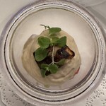 マダム・トキ - 