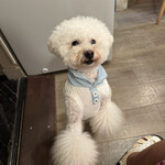 サッカバッカ - プアちゃん