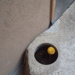 日本橋海鮮丼 つじ半 - 