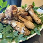 プレゼンテ スギ - 