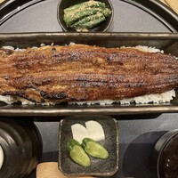 うなぎ四代目菊川 ミッドランドスクエア 名古屋本店 - 