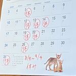 長崎ちゃんぽん・皿うどん 球磨 - ８月､末から９月までのお休み