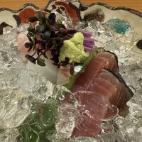 しゅん逢 紗々木 - 