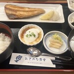 おさかな食堂 - 