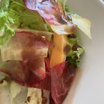 リトルネスト - 鮮やかサラダ